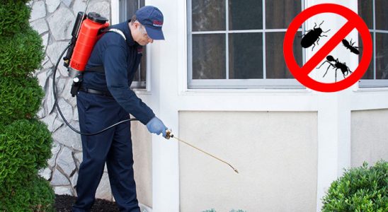 Sumbas Tahtakurusu İlaçlama böcek ilaçlama ve haşere kontrolü — ilaclama-tr.com